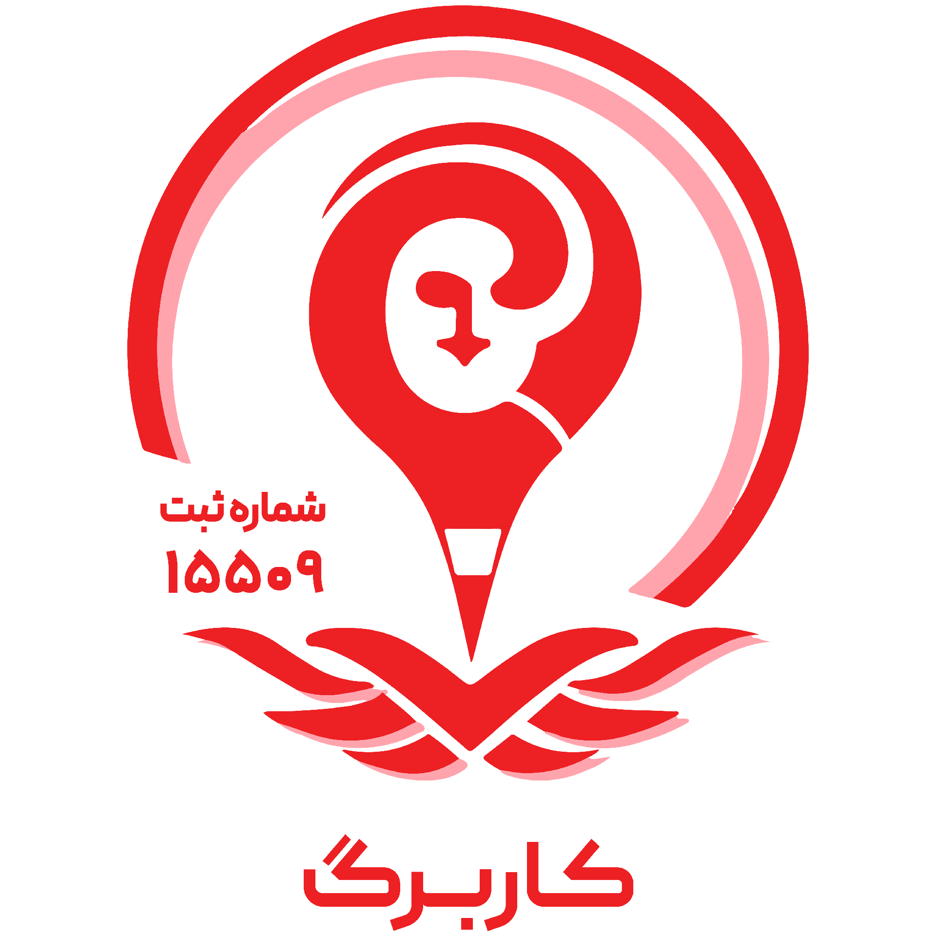 وبسایت حسابداری کاربرگ